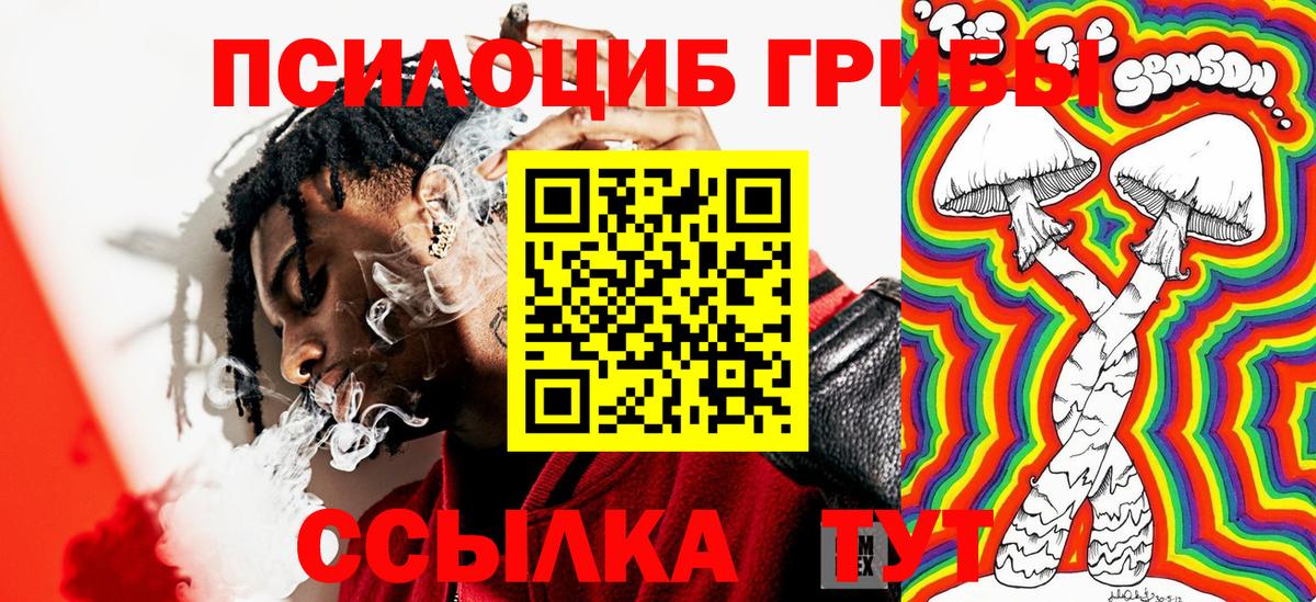 наркота  Вход с VPN  Тара  Псилоцибиновые грибы GOLDEN TEACHER  Псилоцибиновые грибы прущие грибы 