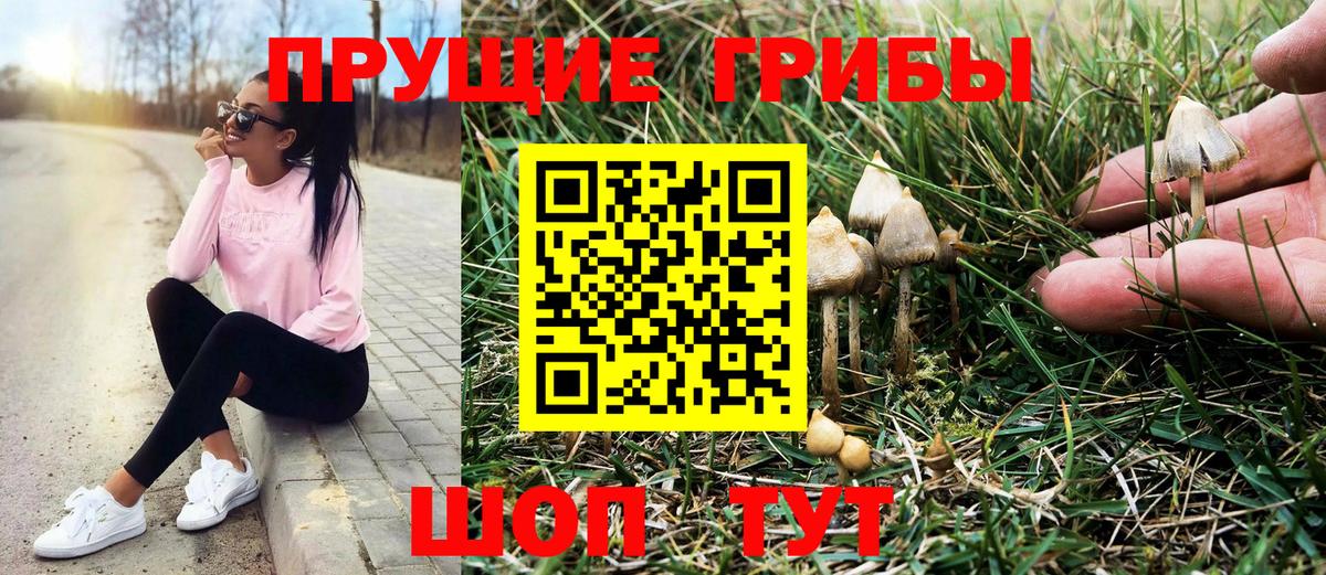 Галлюциногенные грибы GOLDEN TEACHER Тара