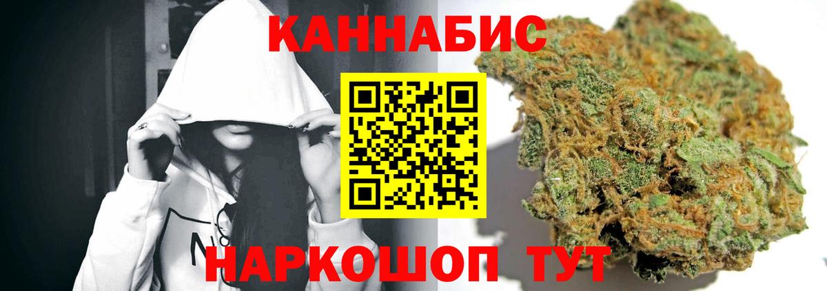 Тара  Бошки марихуана семена  Вход с VPN  Канабис планчик  Конопля Ganja  Марихуана гибрид 